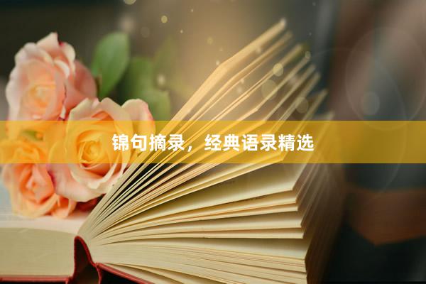 锦句摘录，经典语录精选