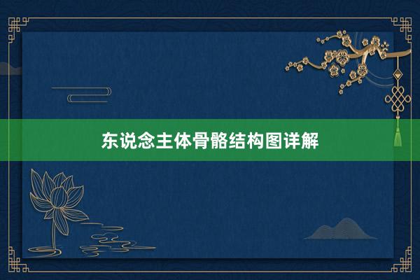 东说念主体骨骼结构图详解