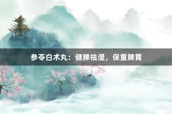 参苓白术丸：健脾祛湿，保重脾胃