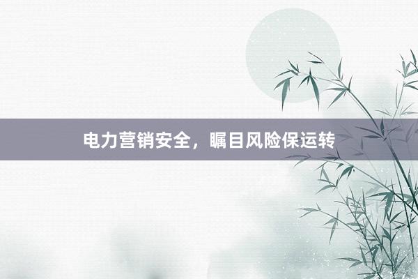 电力营销安全，瞩目风险保运转